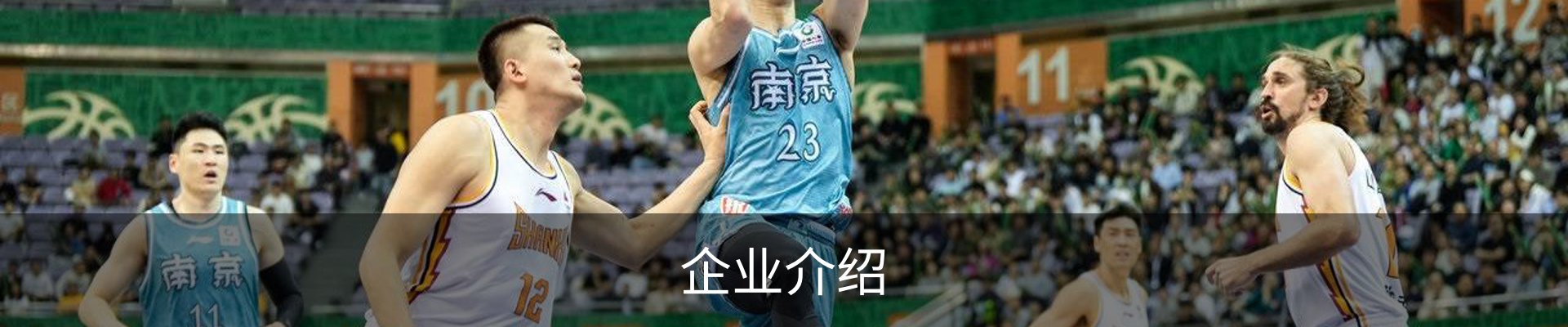 企业介绍